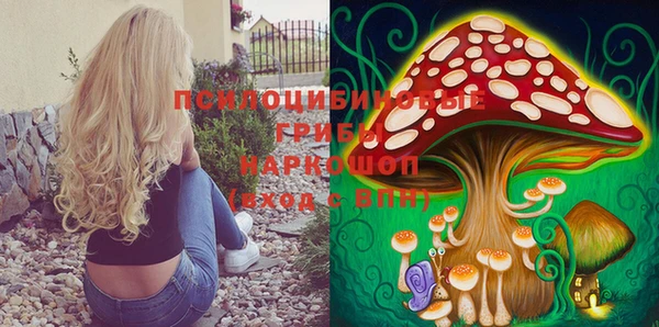 jwh Вяземский
