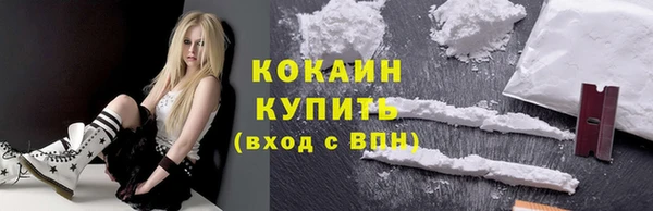 индика Вязьма