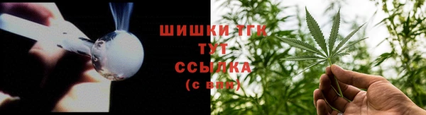 индика Вязьма