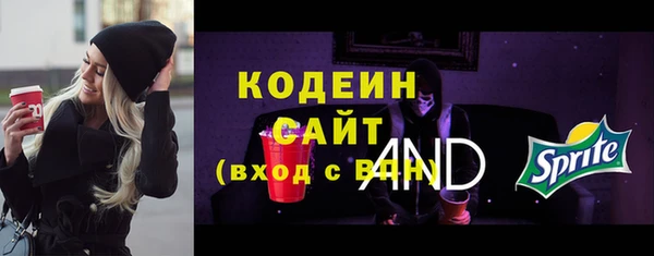 индика Вязьма