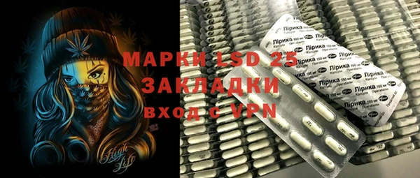 индика Вязьма