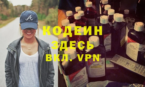 индика Вязьма