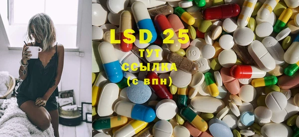 индика Вязьма