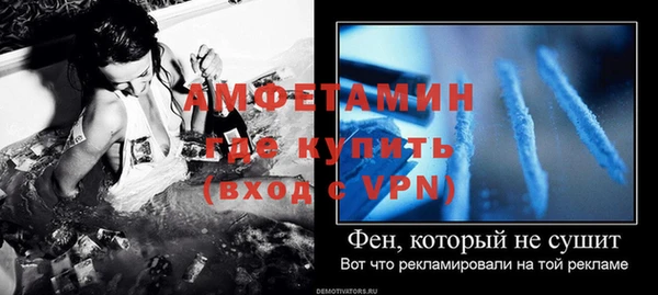 индика Вязьма