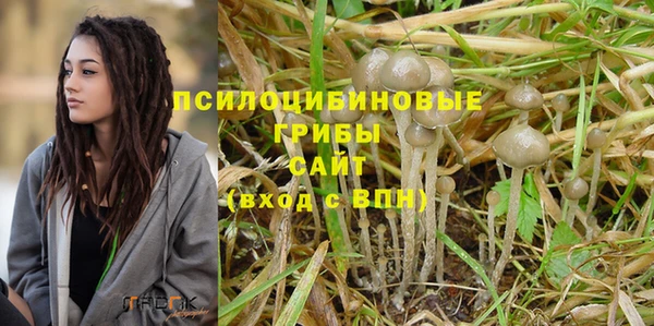 jwh Вяземский