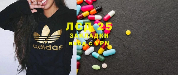 индика Вязьма