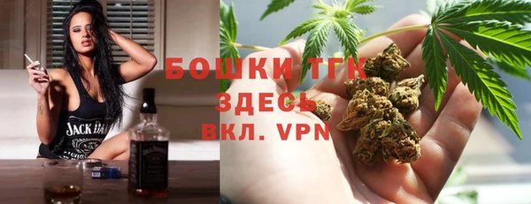 индика Вязьма